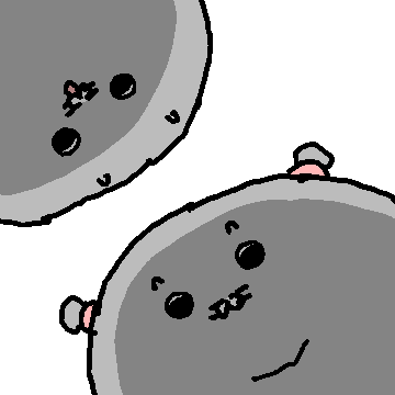 눈치 물개6