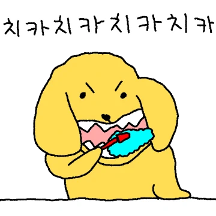 멍멍연합