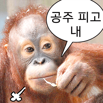 숭이 사진zip