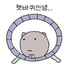 오늘도 출근하는 먼지고양이 2