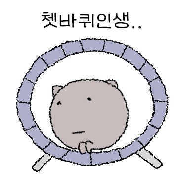 오늘도 출근하는 먼지고양이 2