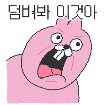 표정 부자 토끼순이