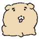 땡칠이