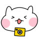 하찡이