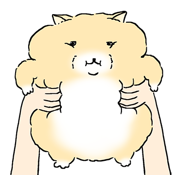 저ㅎㅣ집 고양이 뚱뚠해요?