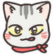 고양이 댕댕이