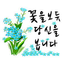 꽃으로 말해요