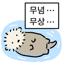 해시리 순하고 귀엽다.