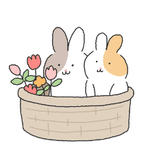 사랑을 전하는 토끼를 아세요?