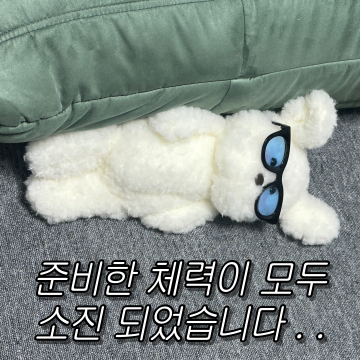 현생에 찌든 몽모짤.zip