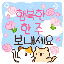 고양이 친구들의 크~은 아침인사
