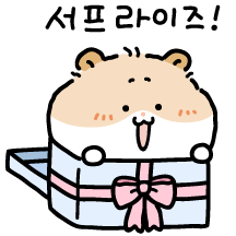햄돌스는 꿍띠꿍띠~
