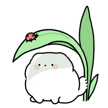 뽀짜와 보내는 신나는 여름방학