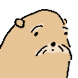 바위너구리뱅