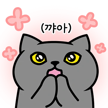 그레이 고양이야 7