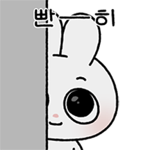 앙토의 알콩한 하루