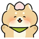 복숭아시바