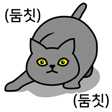 그레이 고양이야