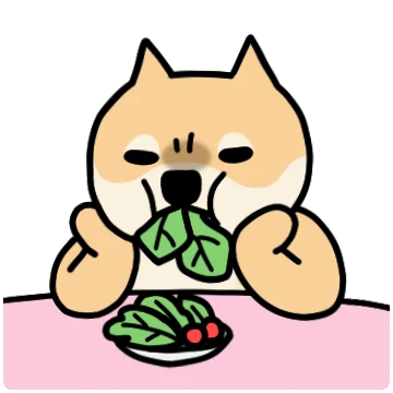 뭘봐 시바 9탄