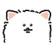 뽀메라니안