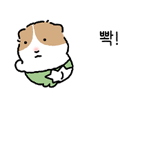 중안부 긴 히피그