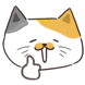 뭉냥이네