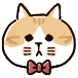 코스튬 고양이