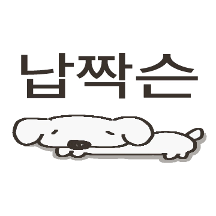 납짝댕댕이를 발견했슨