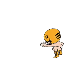 복면 레슬러Q