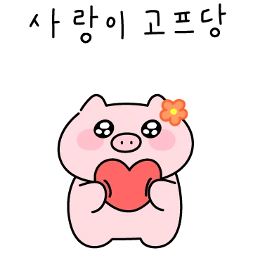 꽃돼지는 사랑입니다