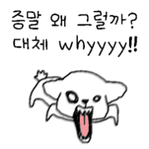 한두따까리 하는 말티즈