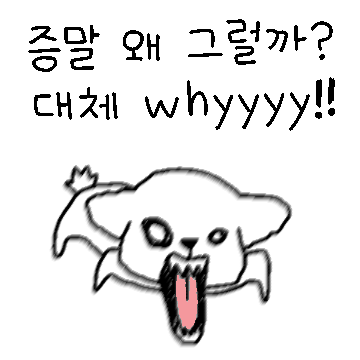 한두따까리 하는 말티즈
