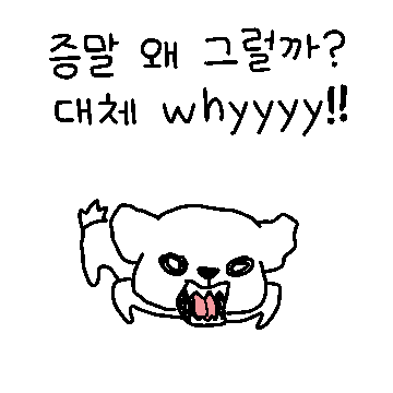한두따까리 하는 말티즈
