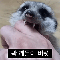 이모티콘 프리뷰