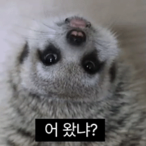 이모티콘 프리뷰