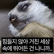 이모티콘 프리뷰