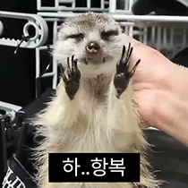 이모티콘 프리뷰