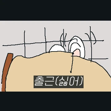 오늘이의 얼렁뚱땅 브이로그