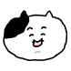 소심한 찌냥이