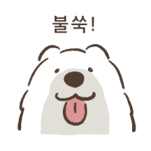 털뭉치뭉치 사모예드