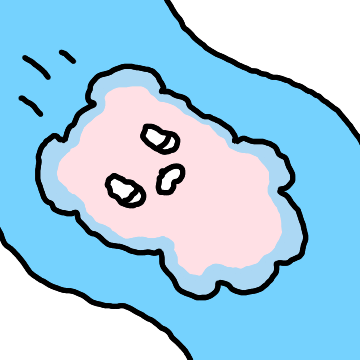 빙글빙글 곰뚜리