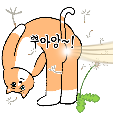은은하게 돌은 고양이, 은돌이!
