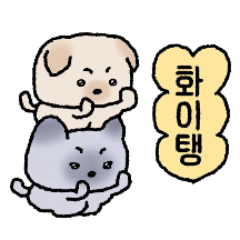 친구네집 콩꼬물 울집 샤미랑 연애중