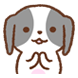 솔이