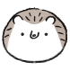 고슴도치 콕