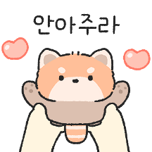 뽀실뽀실 레서판다 레레