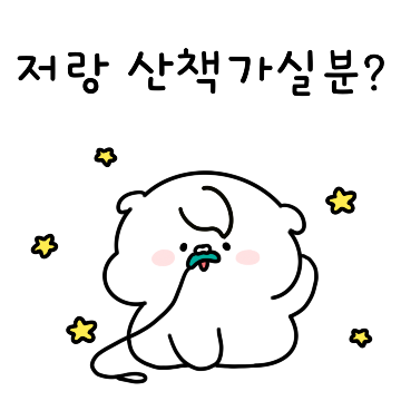 견주 단톡방에서 유용하게 쓰일 톡