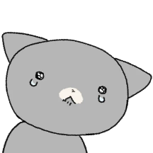쭈글찌글 쫄냥이