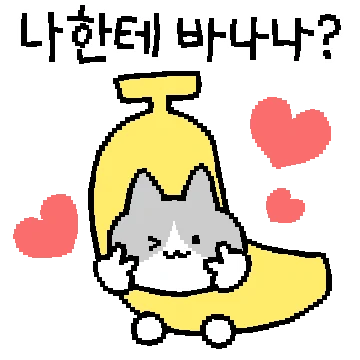 과일 고양이들