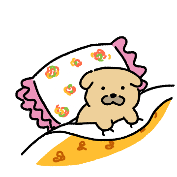 할머니댁 누릉이의 겨울나기